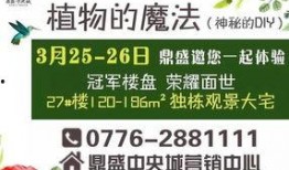 百色今日爆料信息最新查询,揭秘今日热点事件！”