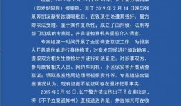 湖州女士爆料案件最新情况,案情再掀波澜，疑点重重待解