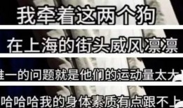 重庆魏先生最新爆料,揭秘某神秘事件背后真相