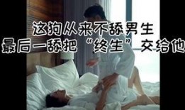免费舔视频在线观看,热门视频一网打尽——在线观看新体验